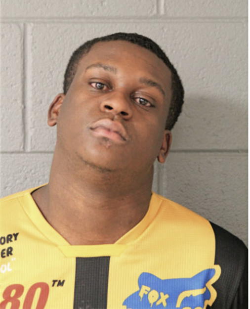 DEVON L RUSHIN, Cook County, Illinois