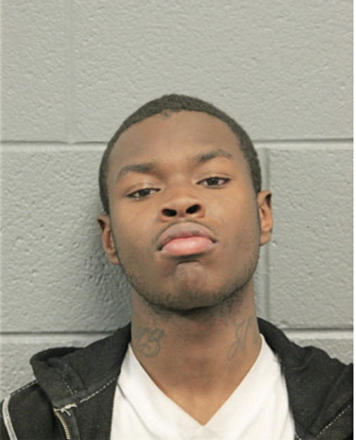 TERRANCE L SANDERS, Cook County, Illinois