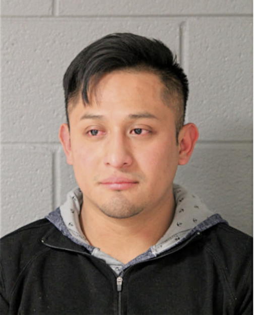 ADELSO VICENTE, Cook County, Illinois