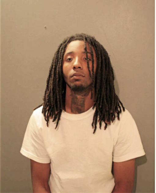 NICO WILSON, Cook County, Illinois