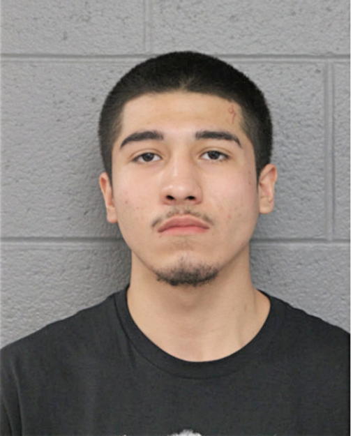 ISAAC N AVILES, Cook County, Illinois