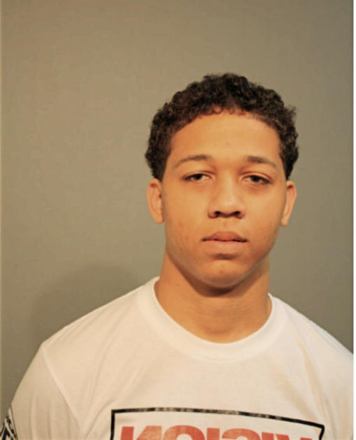 BRANDON DICKINSON, Cook County, Illinois