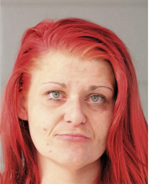 CATHERINE A DOLEHIDE, Cook County, Illinois