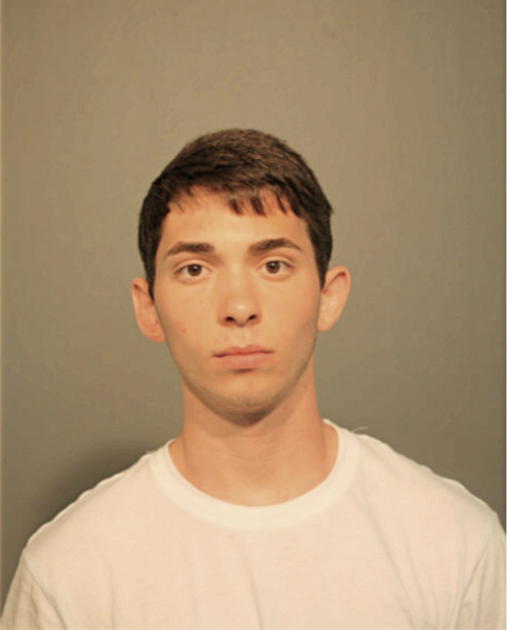 ALEXANDER G ELEOPOULUS, Cook County, Illinois