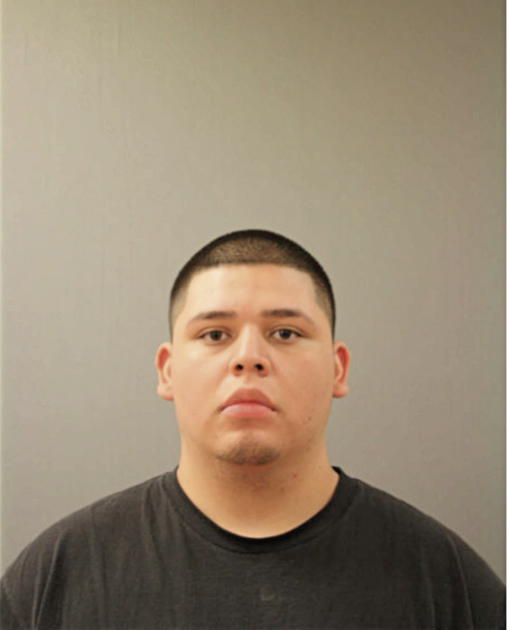 DAVID F FLORES, Cook County, Illinois