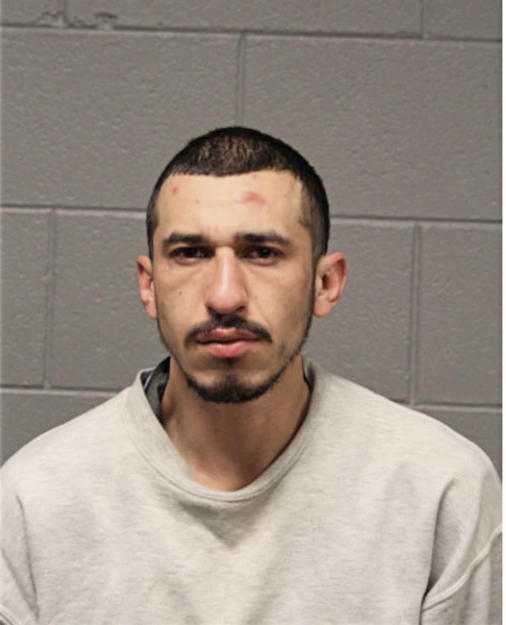 JOSE G GARCIA, Cook County, Illinois