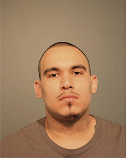 ANTHONY L HERNANDEZ, Cook County, Illinois