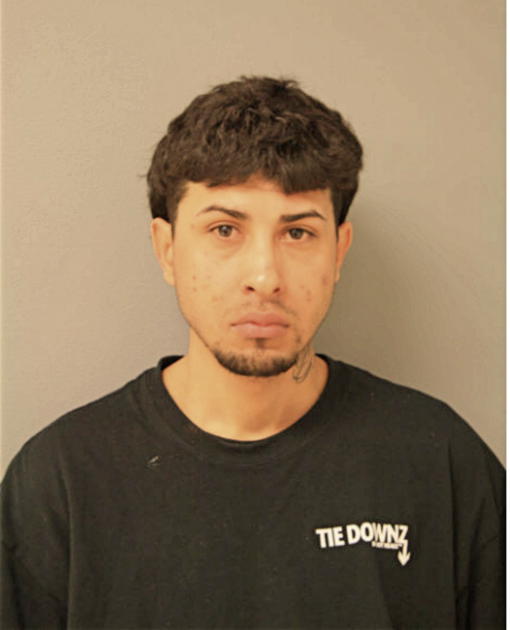 NOEL HERNANDEZ-MEDINA, Cook County, Illinois