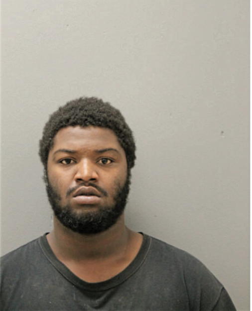 BRIAN J JACKSON, Cook County, Illinois