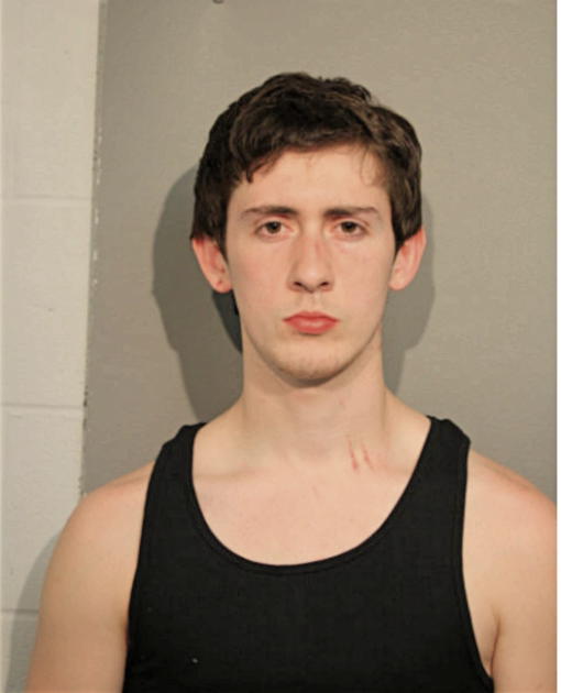 BRIAN J JOHNSON, Cook County, Illinois