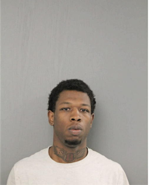 JAVAN A JOHNSON, Cook County, Illinois