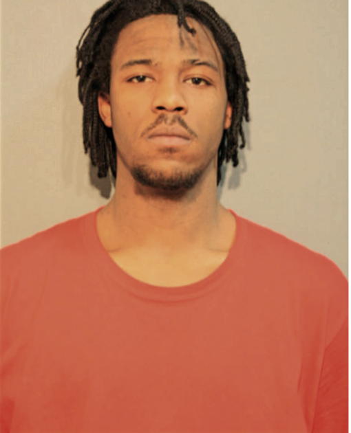 MICHAEL M JOHNSON, Cook County, Illinois