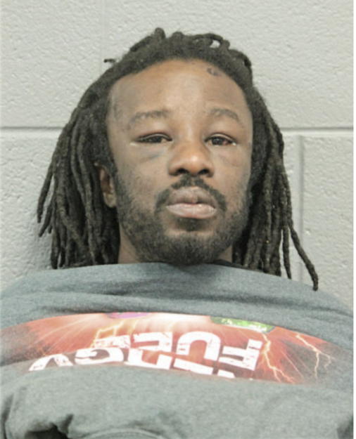 TANSANY JOHNSON, Cook County, Illinois