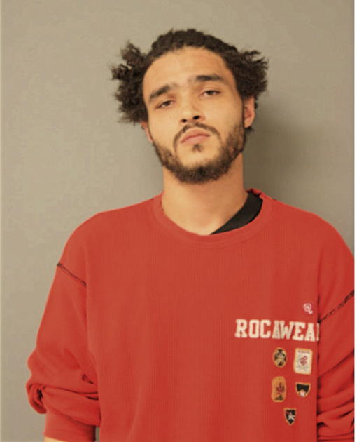 CHRISTOPHER L JORDAN, Cook County, Illinois