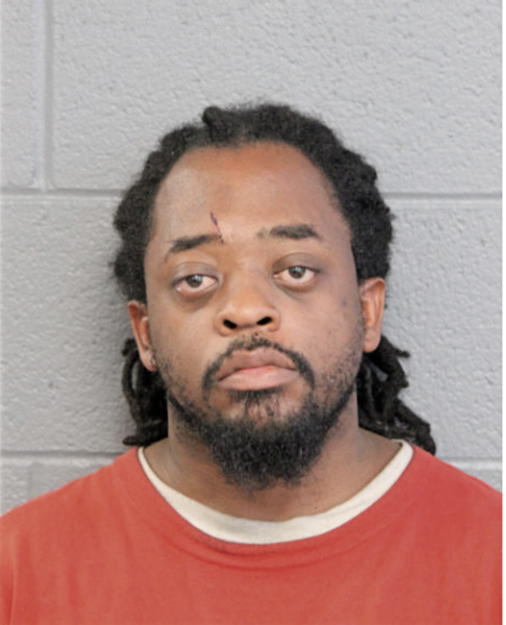 PAUL D LEWIS, Cook County, Illinois