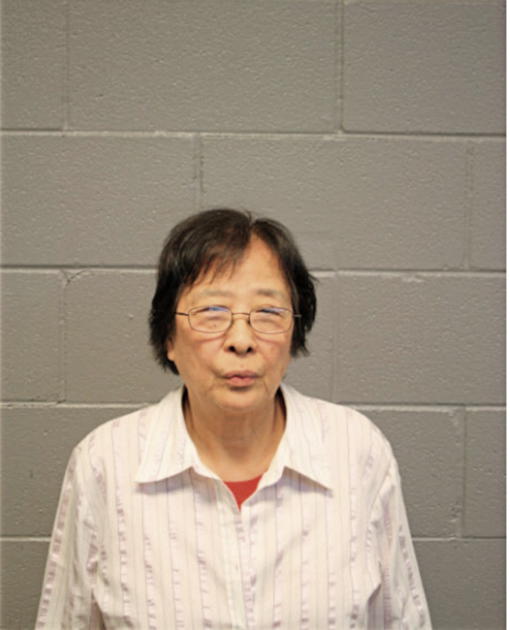 JIE ZHEN MA, Cook County, Illinois