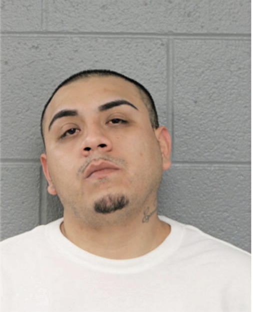 VICTOR OCHOA, Cook County, Illinois