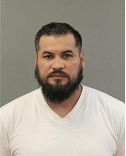 GREGORIO ORTEGA, Cook County, Illinois