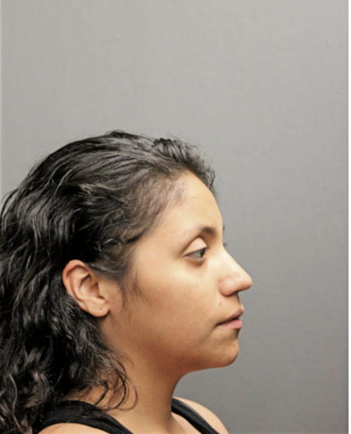 ELIZABETH N ORTIZ, Cook County, Illinois