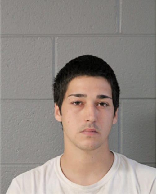 NICHOLAS S PAPPAS, Cook County, Illinois