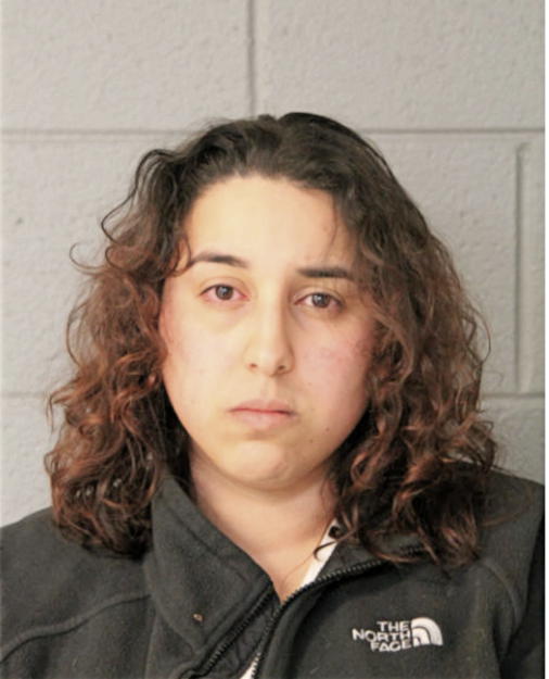 ALEXIS M PATINO, Cook County, Illinois