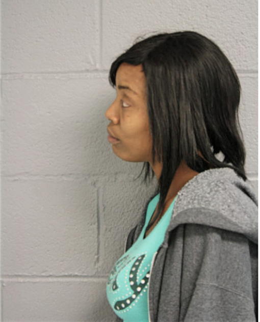 DANITA L PATRICK, Cook County, Illinois