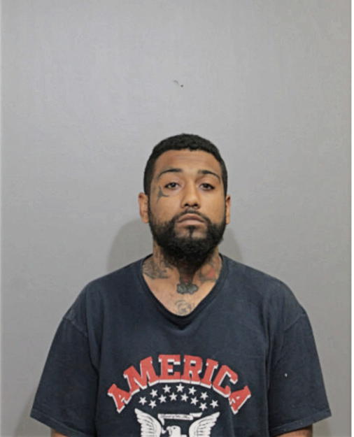 ALEJANDRO B RODRIGUEZ, Cook County, Illinois