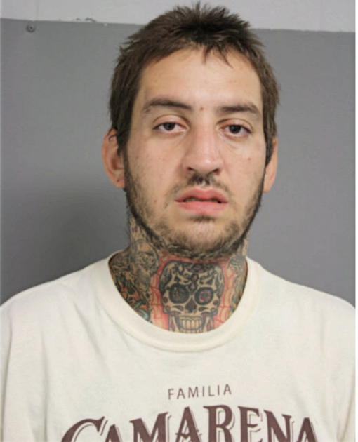 SAMI AHMAD, Cook County, Illinois