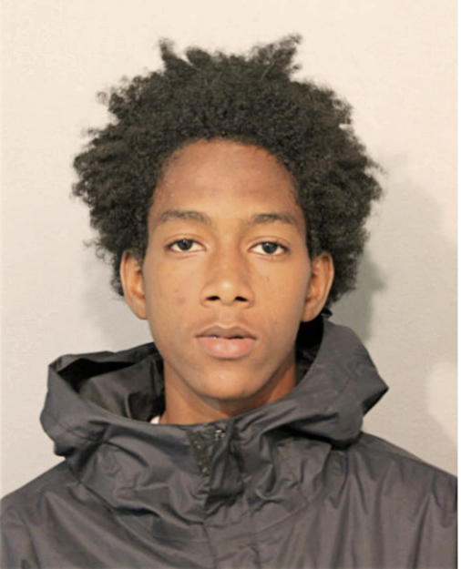 ALHOUSSEIN BAH, Cook County, Illinois