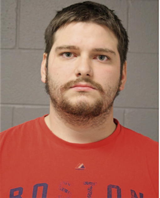 MICHAEL V BANE, Cook County, Illinois