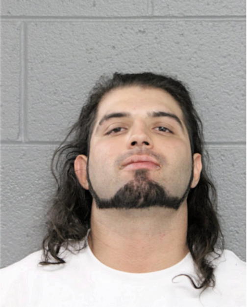 DAVID CALZADO, Cook County, Illinois