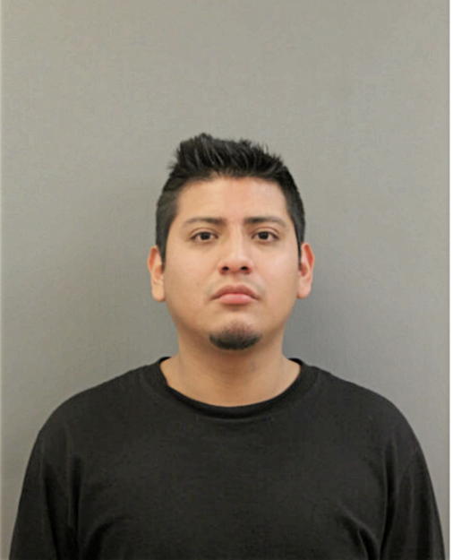 MARCO CASTRO-ROMAN, Cook County, Illinois