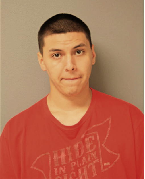 CARLOS A FIGUEROA, Cook County, Illinois