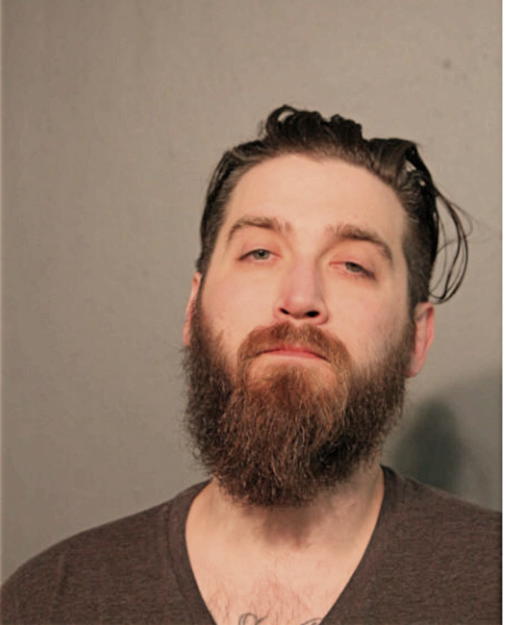 SEAN M FITZMAURICE, Cook County, Illinois