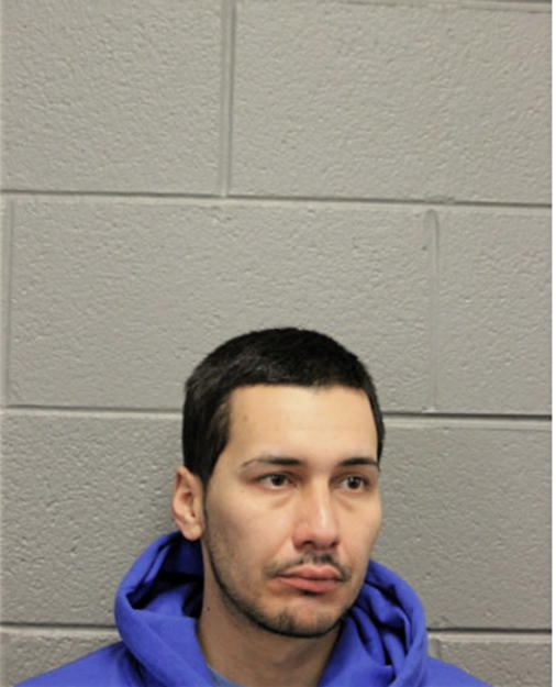 EDNER FLORES, Cook County, Illinois