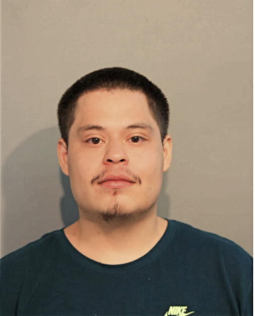 NICHOLAS FLORES, Cook County, Illinois