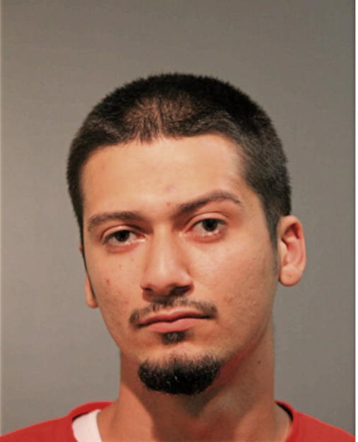 RICARDO AARON FLORES, Cook County, Illinois