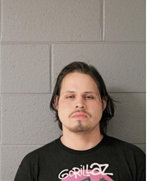 JOSE ADRIAN GUZMAN RODRIGUEZ, Cook County, Illinois