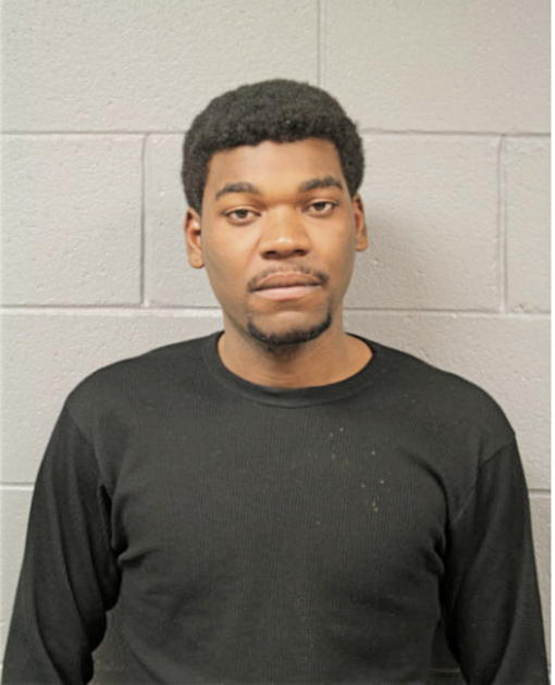 DARRELL P HAMPTON, Cook County, Illinois