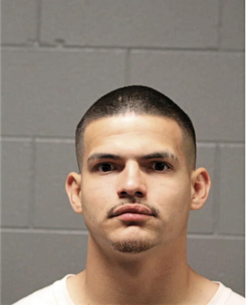JOSEPH HEINS, Cook County, Illinois
