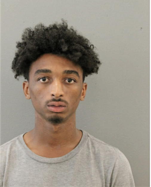 AMIR IVY, Cook County, Illinois