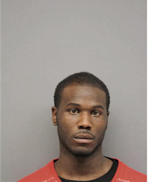 REGINALD L JAMES, Cook County, Illinois