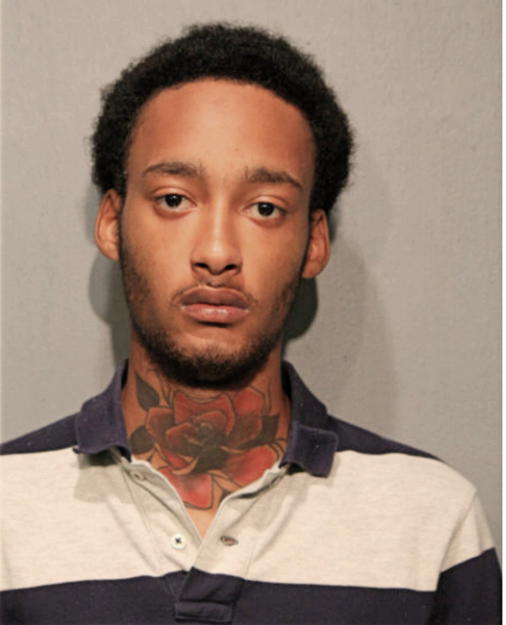 ANTHONY E JOHNSON, Cook County, Illinois