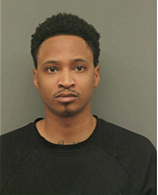 BRIAN G MCDOWELL, Cook County, Illinois
