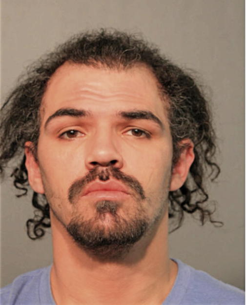 NICHOLES G MOLINA, Cook County, Illinois
