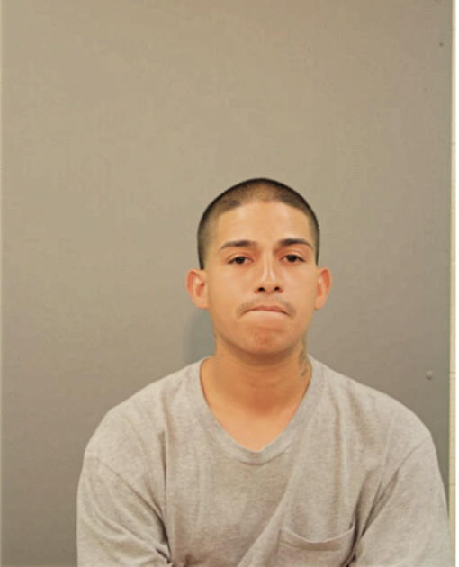 ARCILIO NAVARRO, Cook County, Illinois