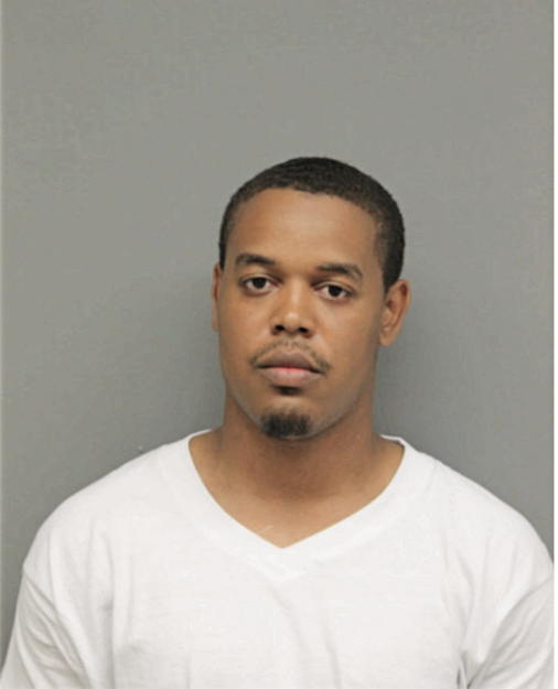 ANDREW J NEYLON, Cook County, Illinois