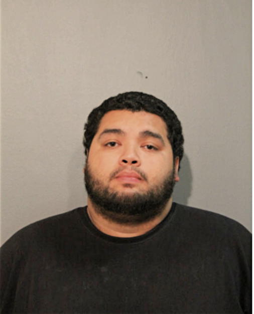 NICHOLAS ORTEGA, Cook County, Illinois
