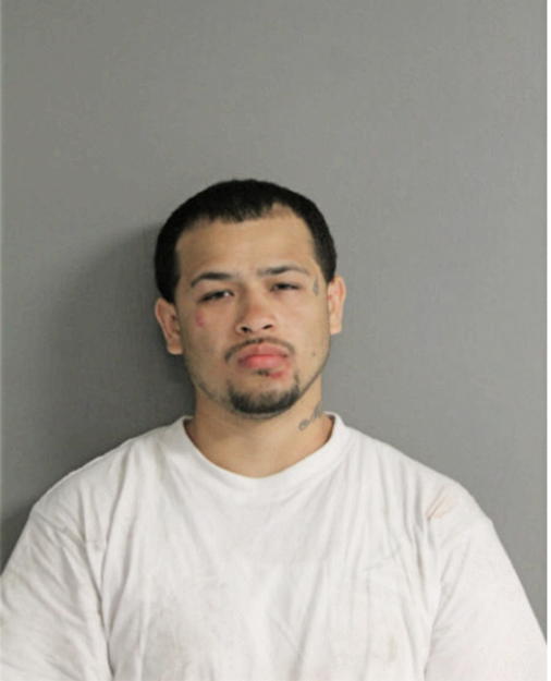 NELSON PEREZ, Cook County, Illinois