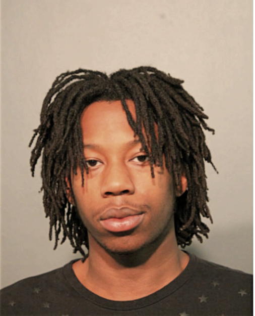 DAVID D PHIPPS, Cook County, Illinois